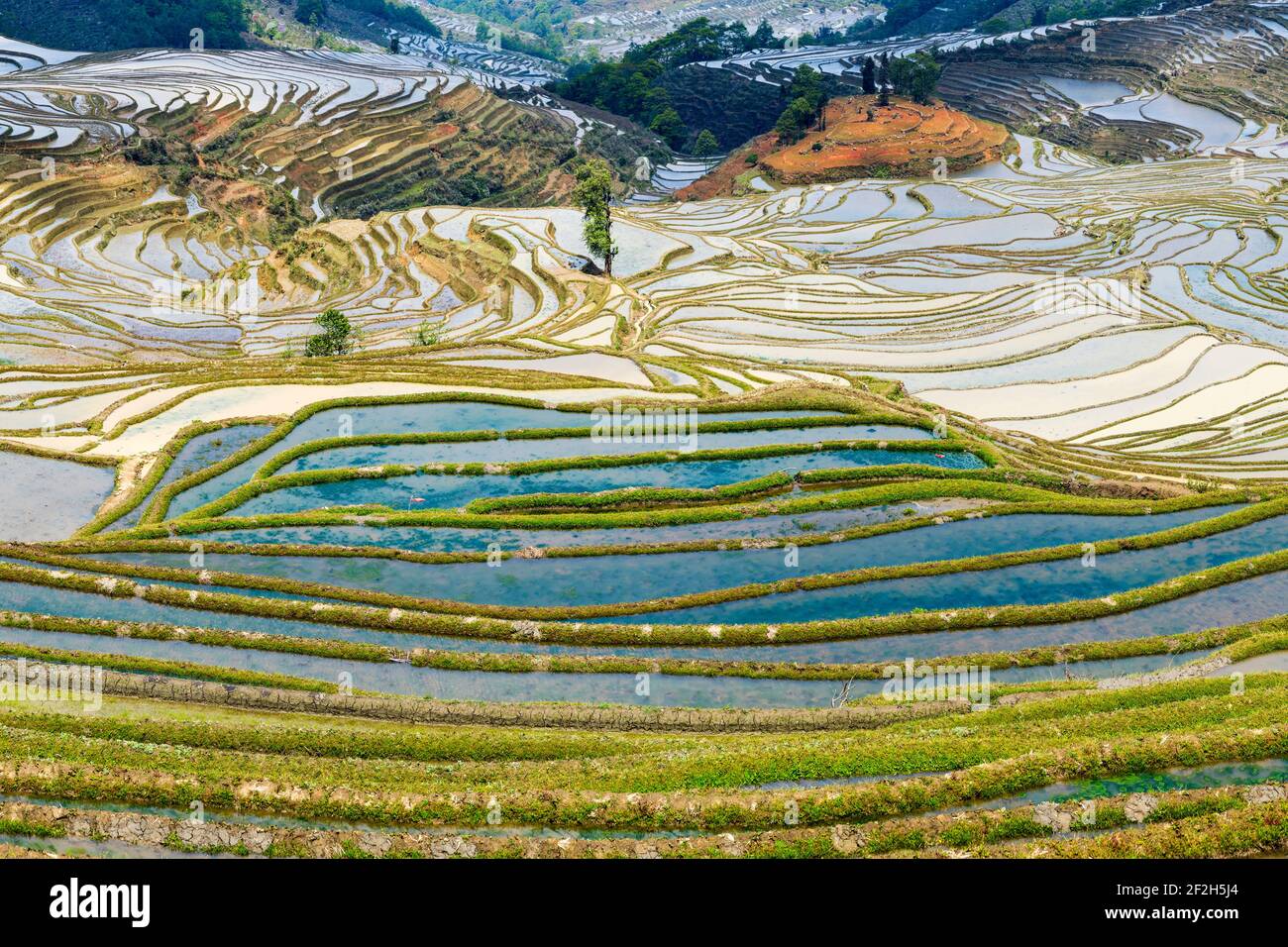 Geografia / viaggio, Cina, Yunnan, impressionanti risaie terrazze culture della regione di Yuanyang nel Duo Yi , Additional-Rights-Clearance-Info-Not-Available Foto Stock