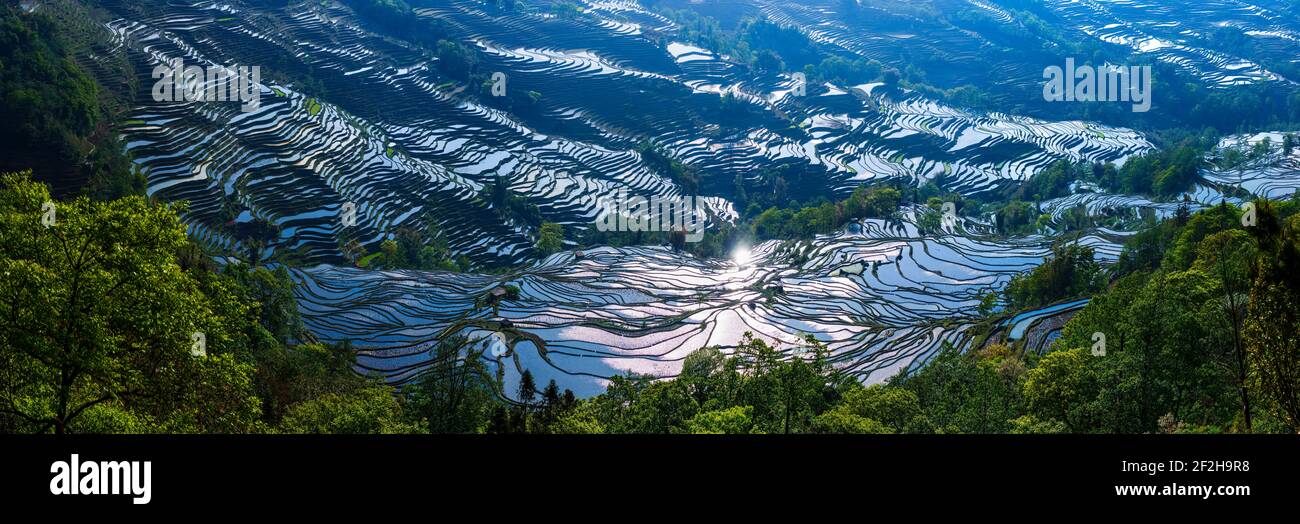 Geografia / viaggio, Cina, Yunnan, impressionanti risaie terrazze culture della regione di Yuanyang in Bada va, Additional-Rights-Clearance-Info-Not-Available Foto Stock
