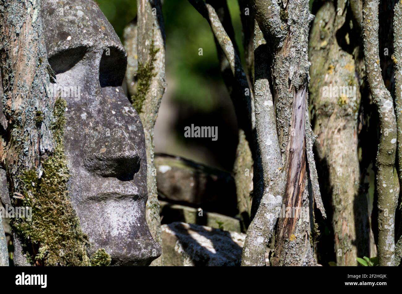 Una statua in pietra di un capo dell'isola di Pasqua che si affaccia dai gambi di un lilla in un giardino REGNO UNITO Foto Stock