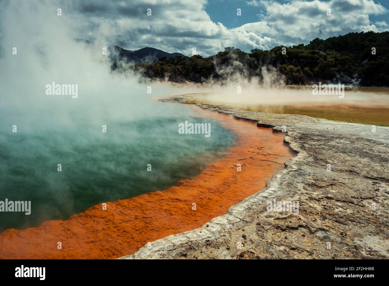 Il surreale Champagne Pool trovato in Nuova Zelanda Foto Stock