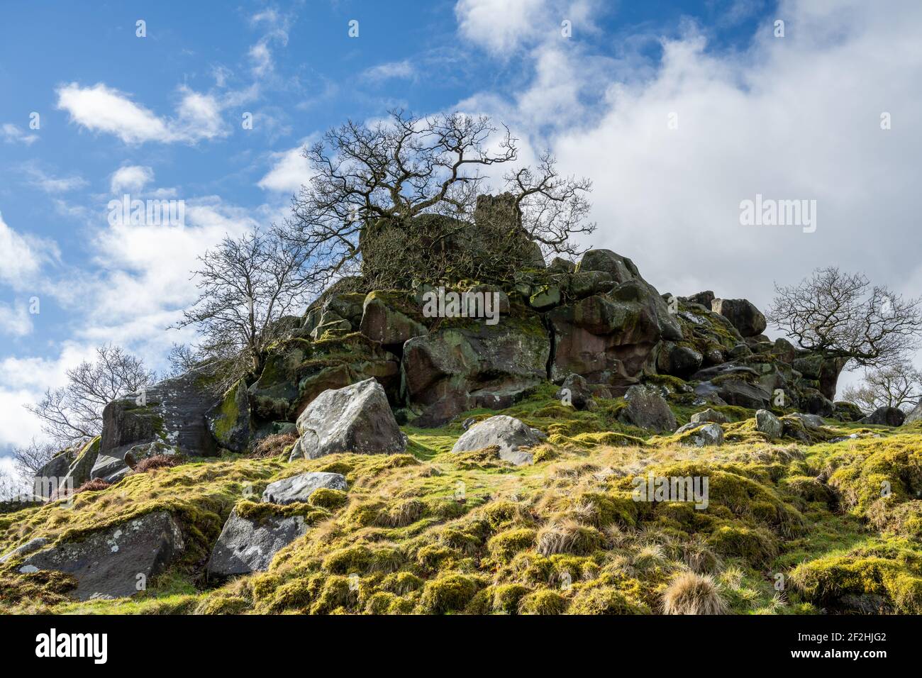 Robin Hood's Stride pietra calcarea Way formazione nel Derbyshire Dales, Peak District National Park. Foto Stock