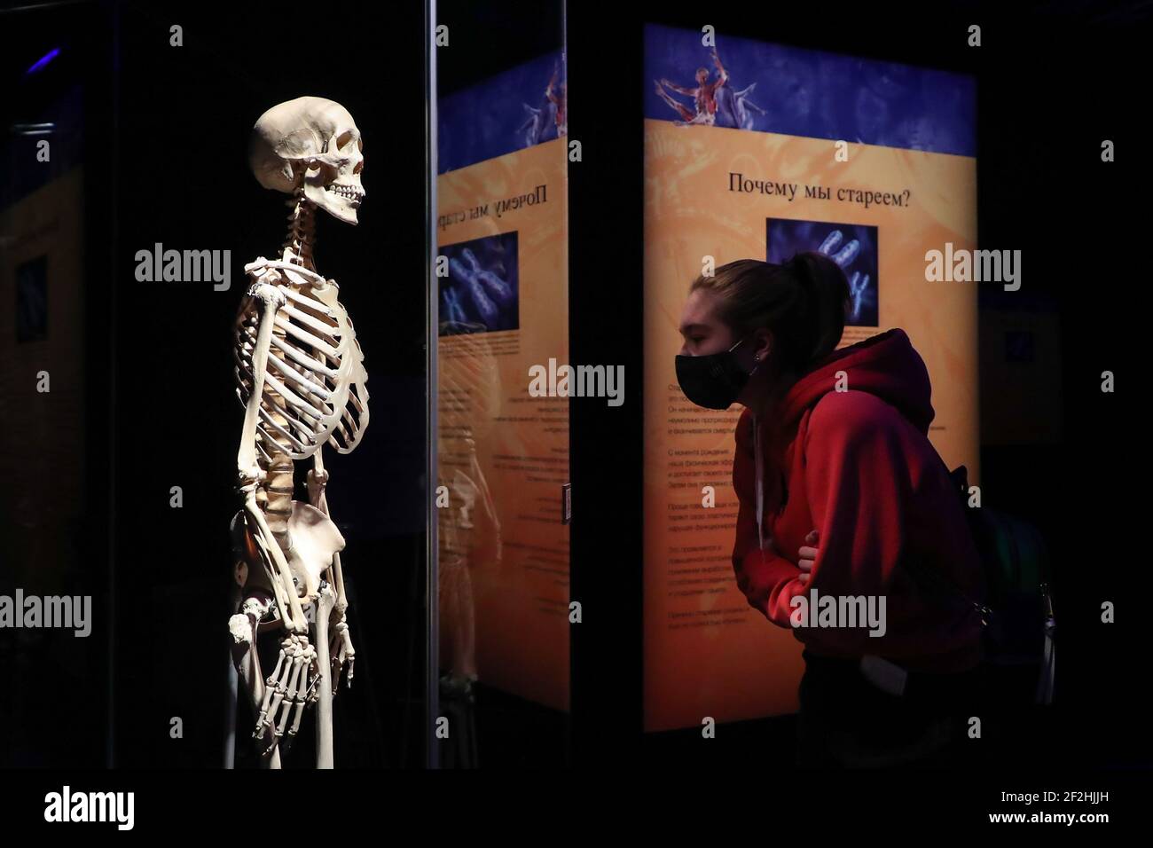 Posizione Anatomica Immagini e Fotos Stock - Alamy