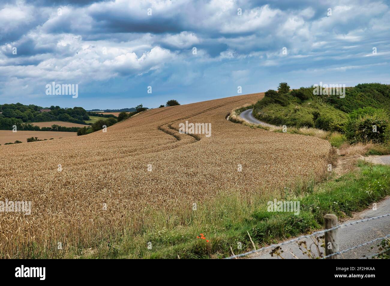 Countryside Lane e Arable Farming Foto Stock