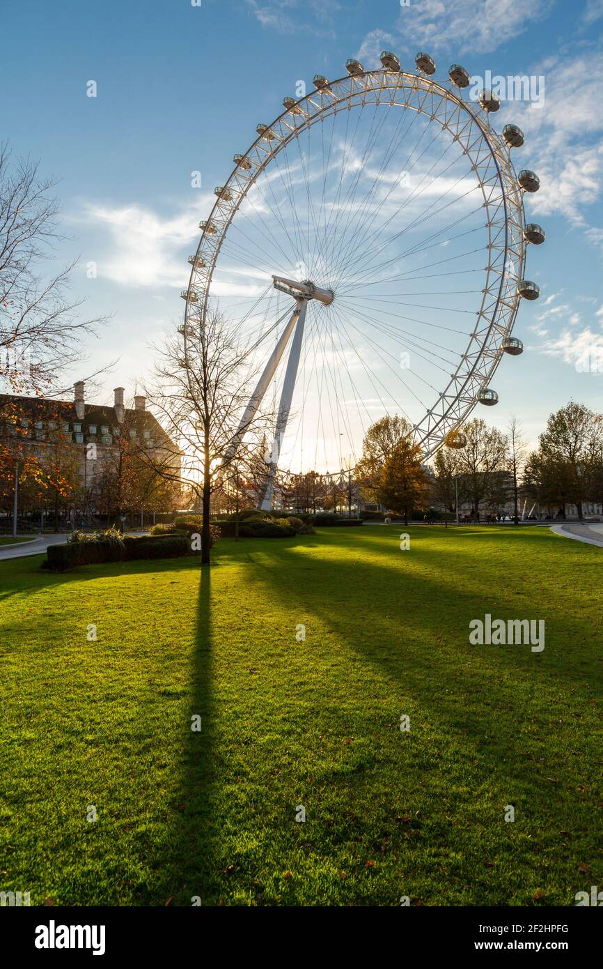 Il London Eye al tramonto visto da Jubilee Park and Garden, South Bank, Londra Foto Stock