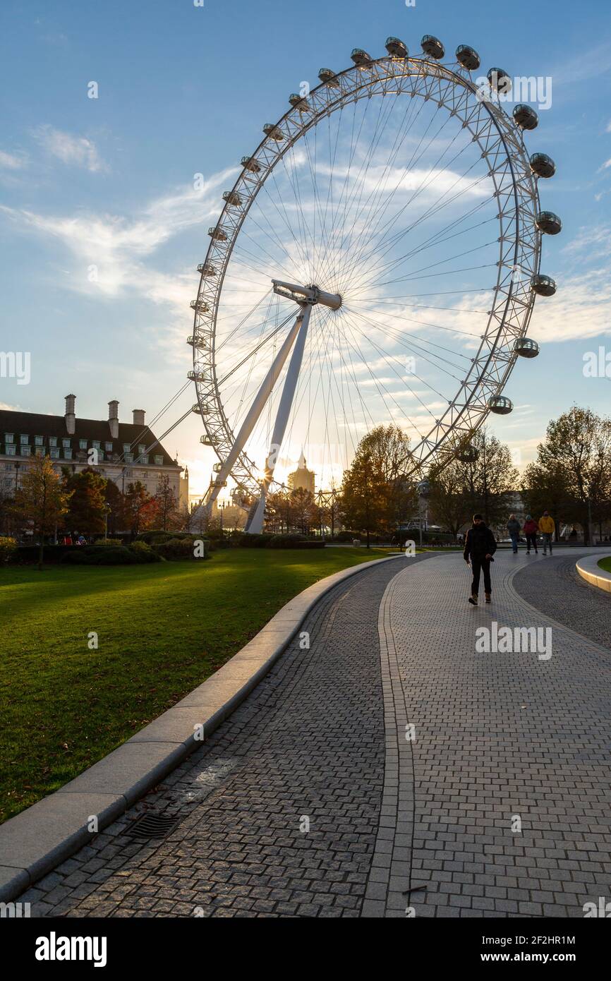 Il London Eye al tramonto visto da un sentiero nel Jubilee Park and Garden, South Bank, Londra Foto Stock