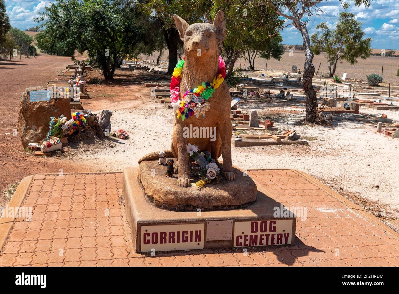 Statua all'ingresso del Cimitero dei cani Corrigin 235 km. a sud-est di Perth che è diventata un'insolita attrazione turistica, l'Australia Occidentale Foto Stock