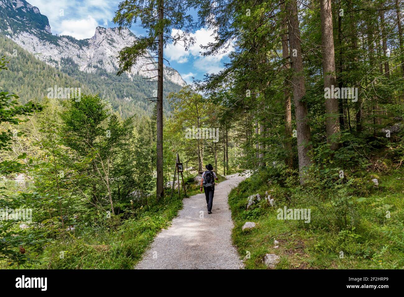 Escursionisti sul sentiero forestale intorno all'Hintersee, Ramsau, Berchtesgaden, Alpi Berchtesgaden, Parco Nazionale Berchtesgaden, Berchtesgadener Land, alta Baviera, Baviera, Germania, Europa Foto Stock
