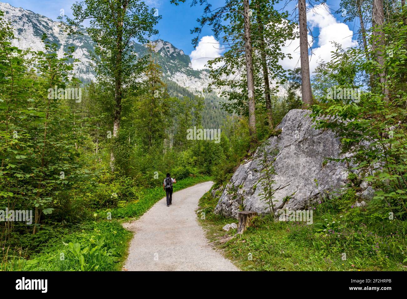 Film escursionistici con la piccola macchina fotografica sul percorso forestale intorno al Hintersee, Ramsau, Berchtesgaden, Alpi Berchtesgaden, Parco Nazionale Berchtesgaden, Berchtesgadener Land, alta Baviera, Baviera, Germania, Europa Foto Stock
