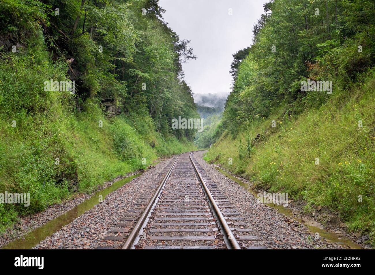 Il treno, linea ferroviaria che si snoda attraverso le montagne Appalachiane in una giornata nebbiosa. Nella città mineraria di Clinchfield, Dante, Virginia. Foto Stock