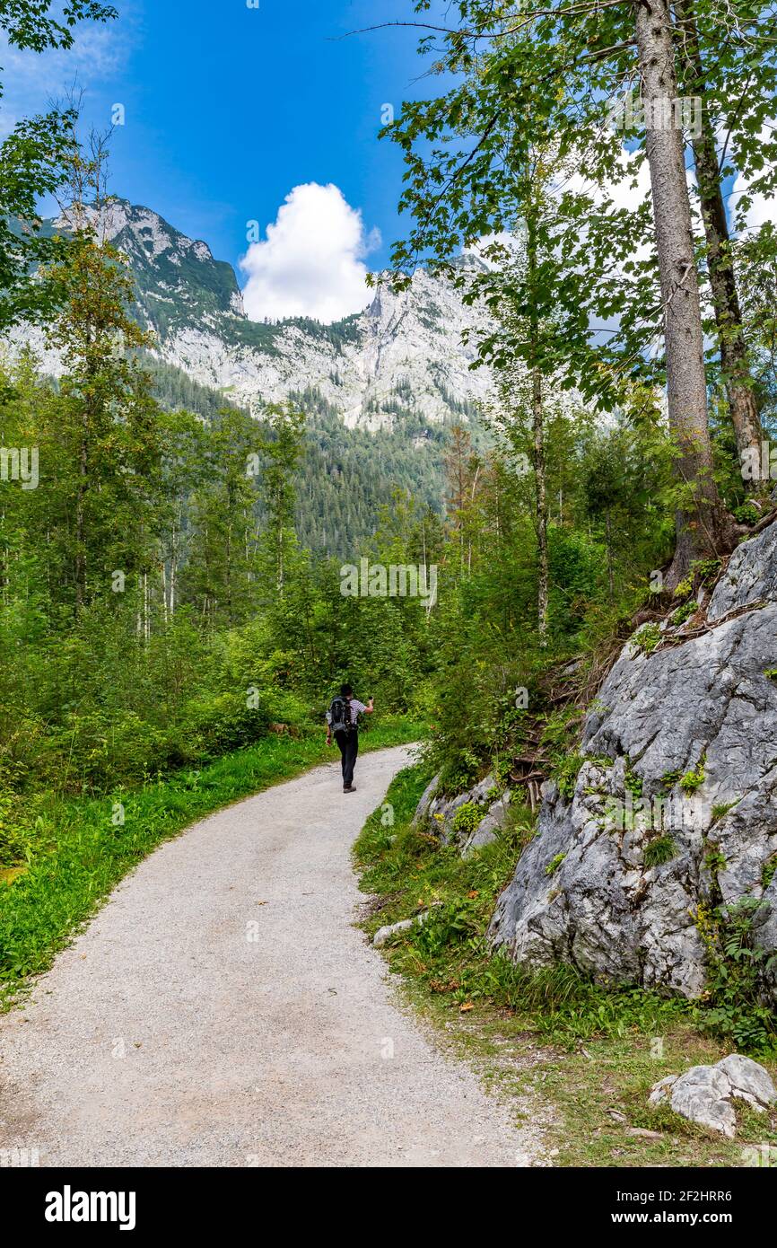 Film escursionistici con la piccola macchina fotografica sul percorso forestale intorno al Hintersee, Ramsau, Berchtesgaden, Alpi Berchtesgaden, Parco Nazionale Berchtesgaden, Berchtesgadener Land, alta Baviera, Baviera, Germania, Europa Foto Stock