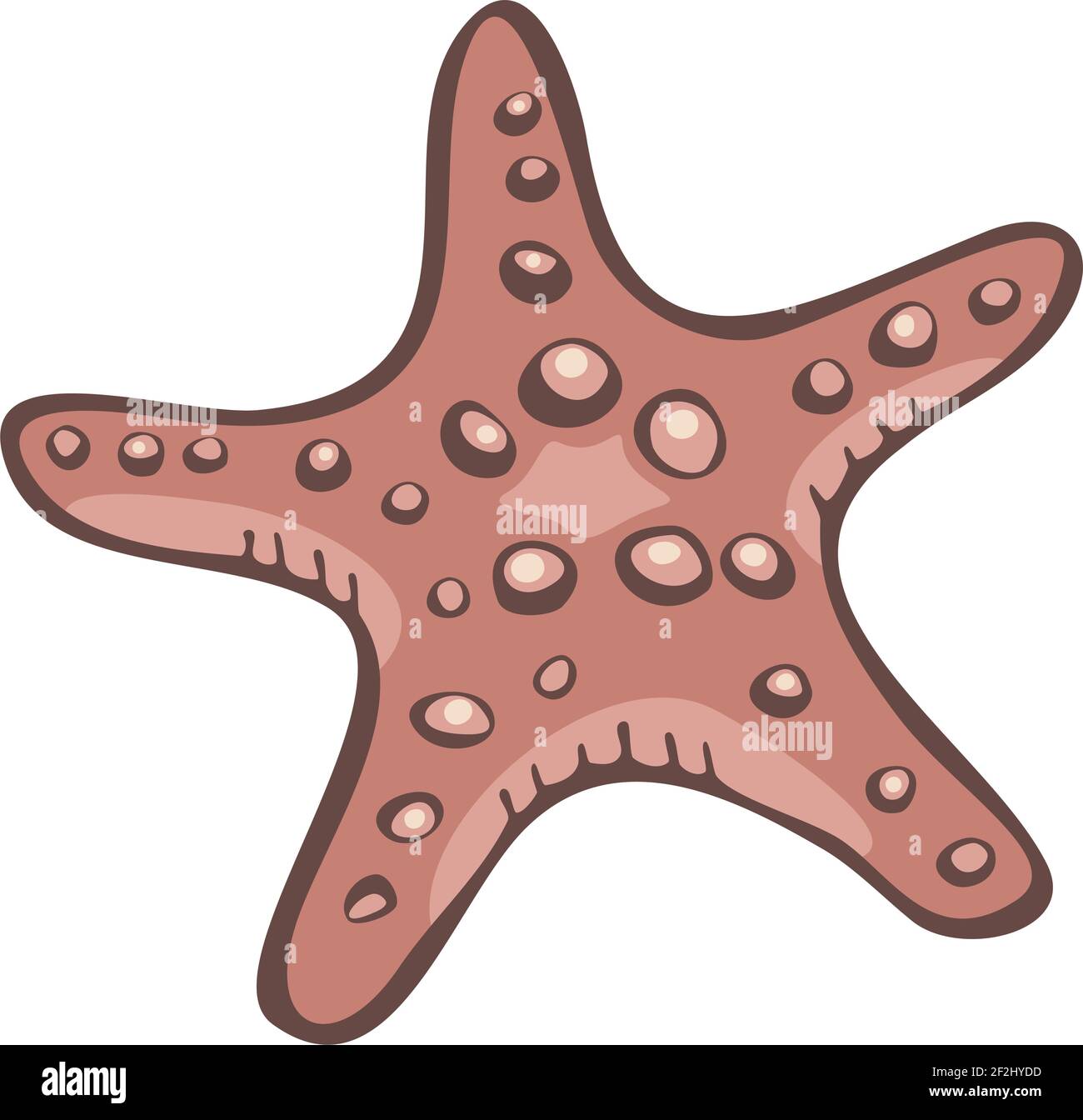 Illustrazione vettoriale di stelle marine isolate su sfondo bianco. Disegno di stella del mare. Illustrazione Vettoriale