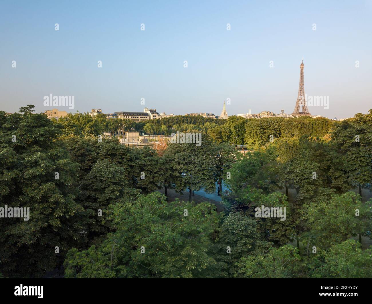Torre Eiffel che emerge dall'alto degli alberi, vista dai giardini del Grand Palais (dal drone) Foto Stock