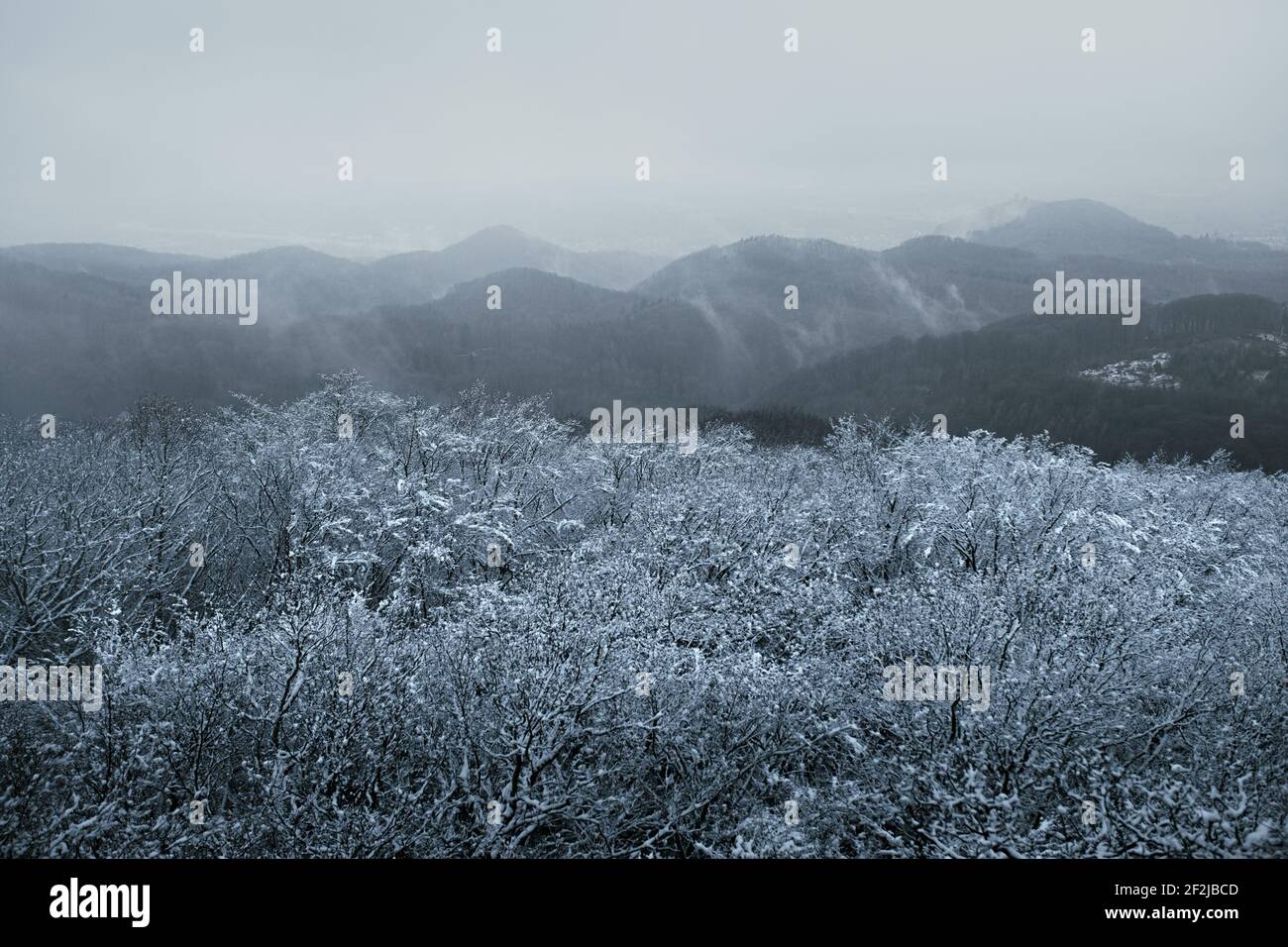 Impressioni invernali dal Siebengebirge. Foto Stock