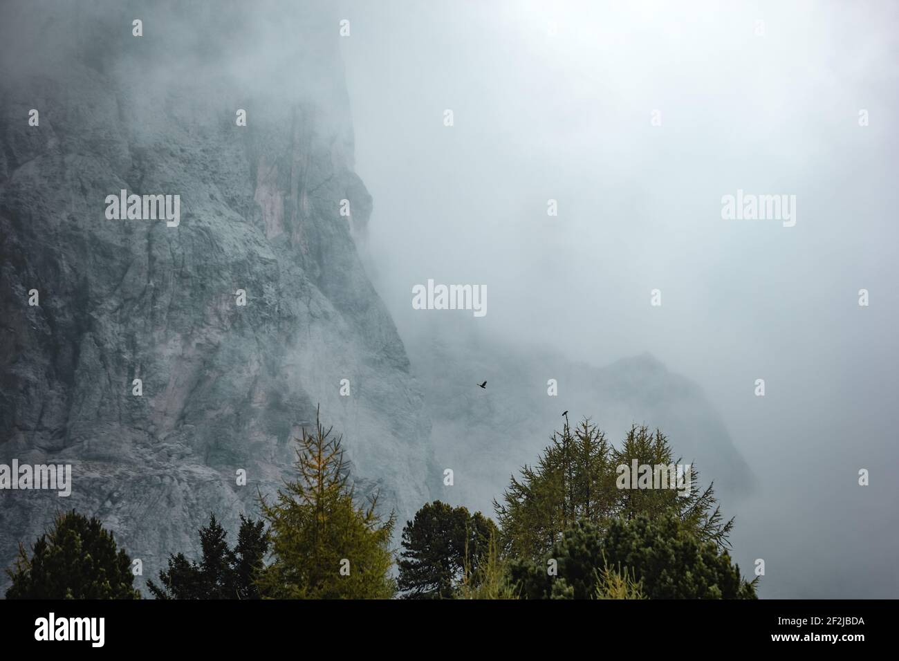 Impressioni di un'escursione intorno al Peitlerkofel nelle Dolomiti. Foto Stock