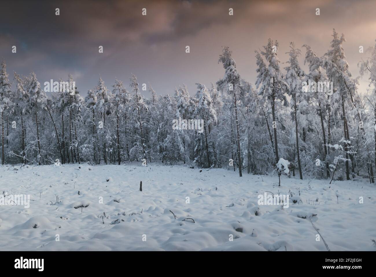 Impressioni invernali da Steinerberg nella Valle dell'Ahr. Foto Stock