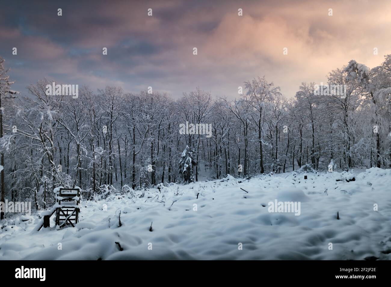 Impressioni invernali da Steinerberg nella Valle dell'Ahr. Foto Stock