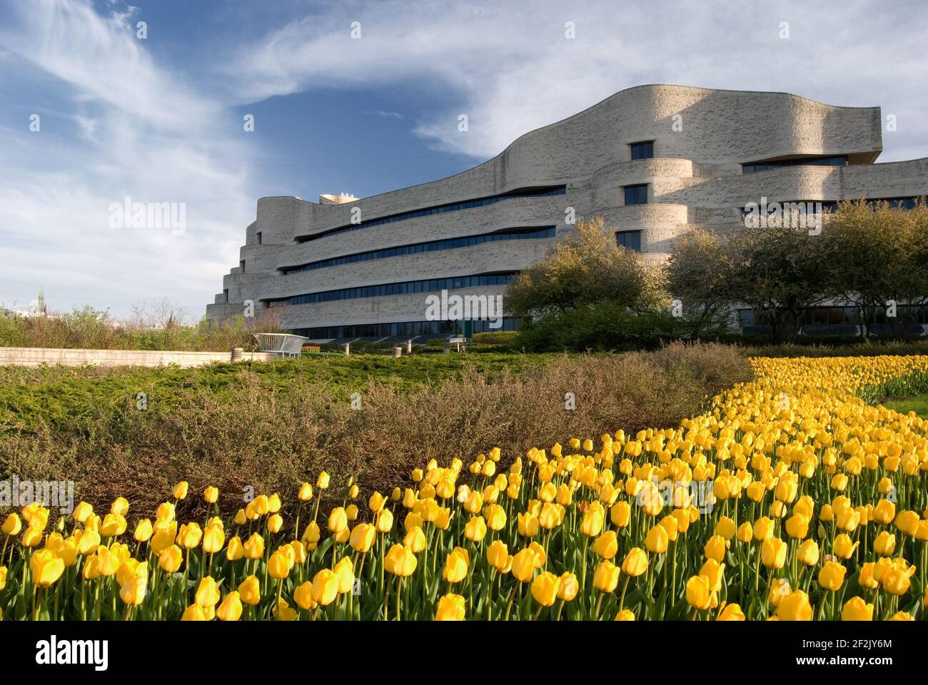 Museo Canadese di storia con tulipani gialli in primo piano Orizzontale Foto Stock
