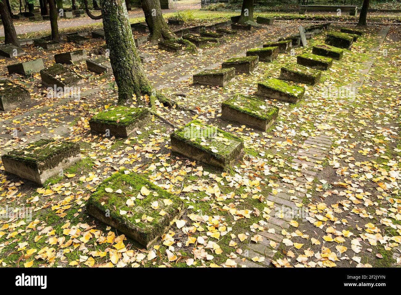 Berlino, cimitero ebraico Berlino Weissensee, urna campo, bramme di tomba muschio, foglie d'autunno, transizione Foto Stock