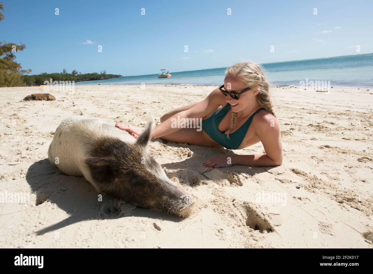 Giovane femmina bionda che accarezza il maiale sulla spiaggia in Bahamas Foto Stock