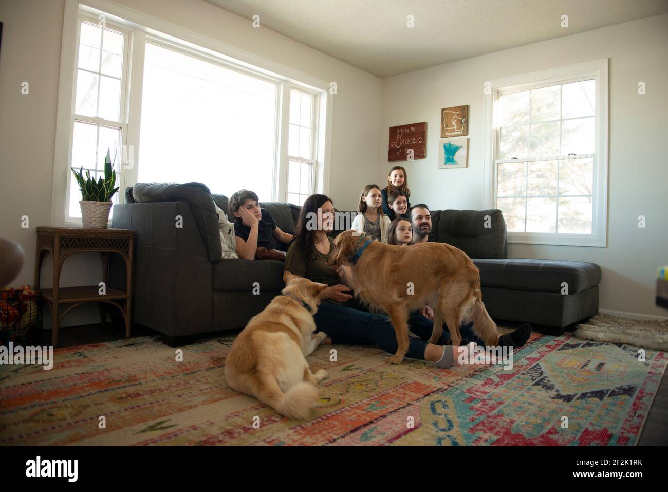 Famiglia di sette persone che guardano la televisione nel soggiorno con i cani. Foto Stock
