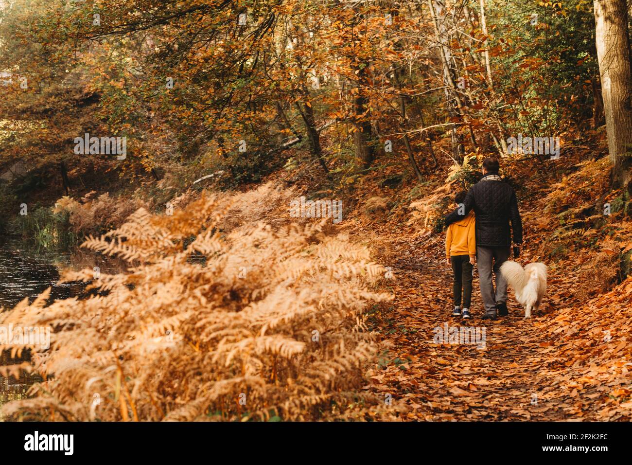 Vista posteriore del padre che abbracciava il figlio e il cane che camminava alzaia in autunno Foto Stock