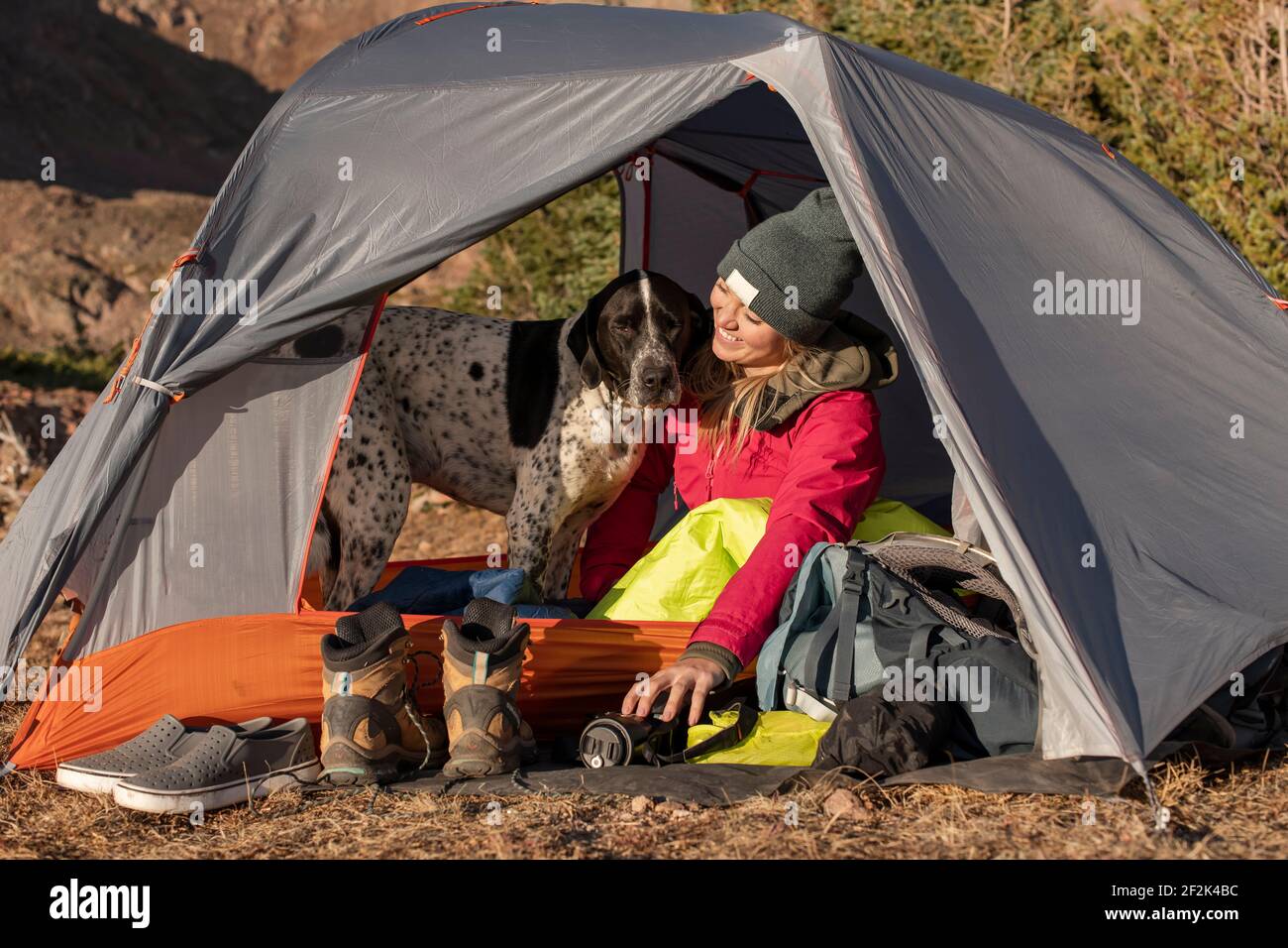 Giovane donna sorridente con cane in tenda in montagna durante vacanza Foto Stock
