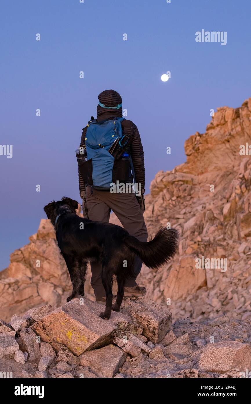 Donna con cane trekking durante la vacanza Foto Stock