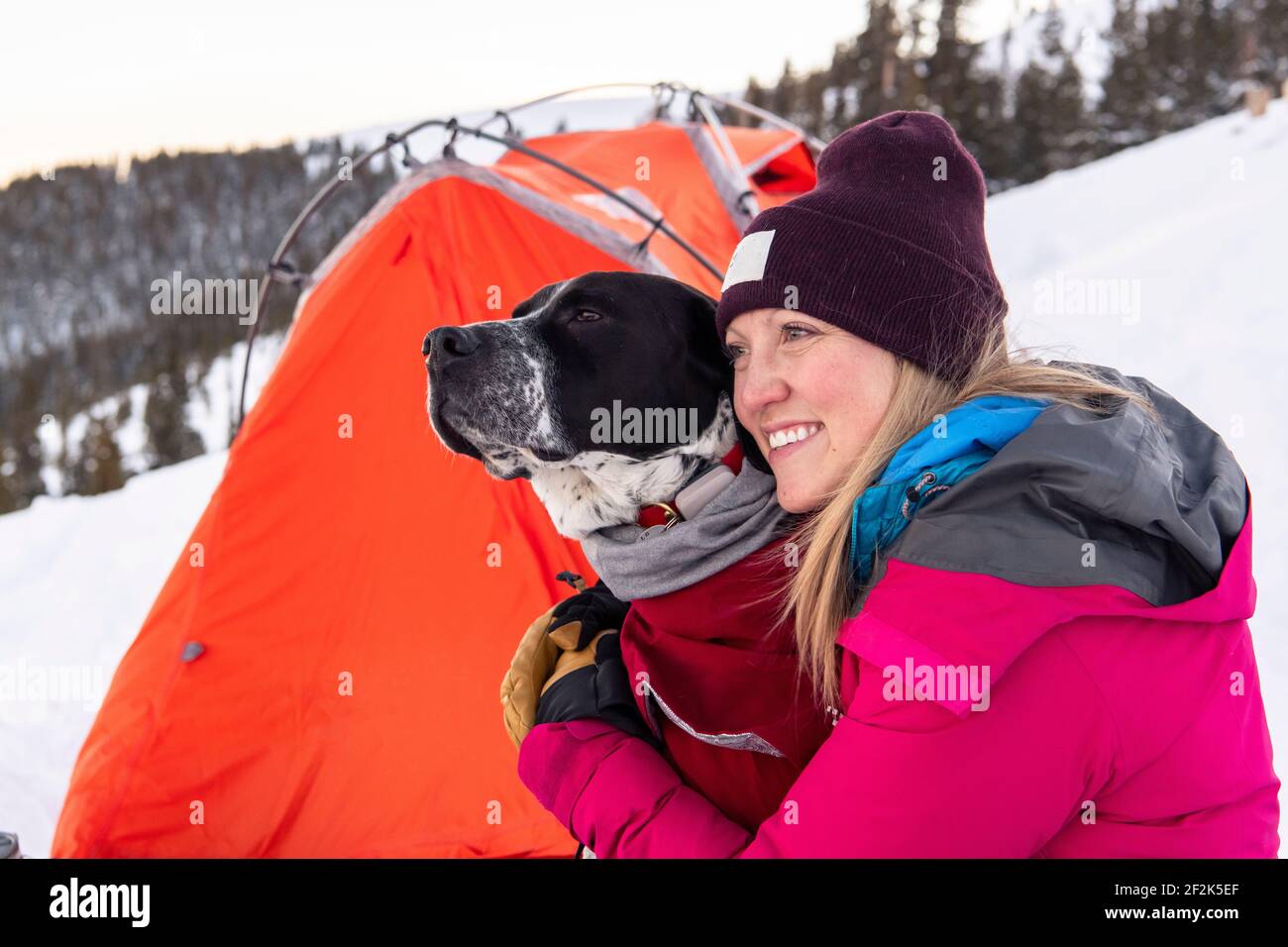 Felice giovane donna in campeggio con il cane durante le vacanze Foto Stock