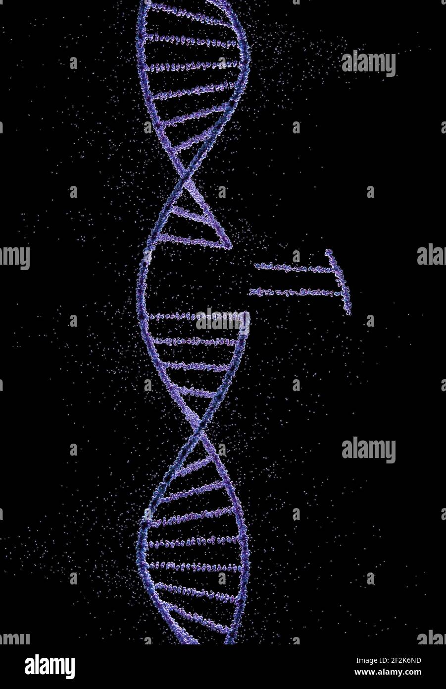 Codice DNA elicoidale con sfere raggruppate che formano molecole genetiche. Foto Stock