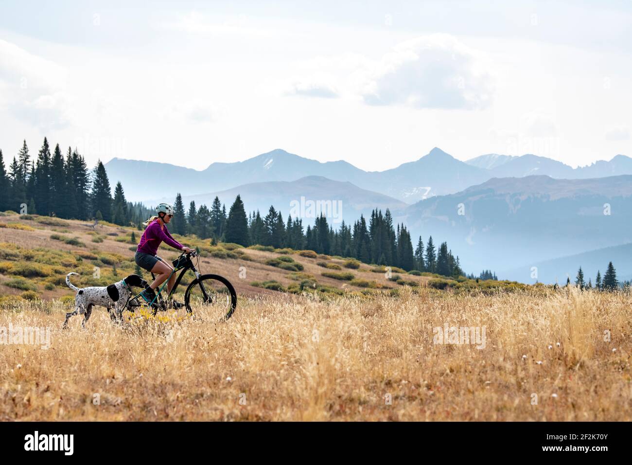 Vista laterale della giovane donna in bicicletta con il cane sul campo contro il cielo durante le vacanze Foto Stock