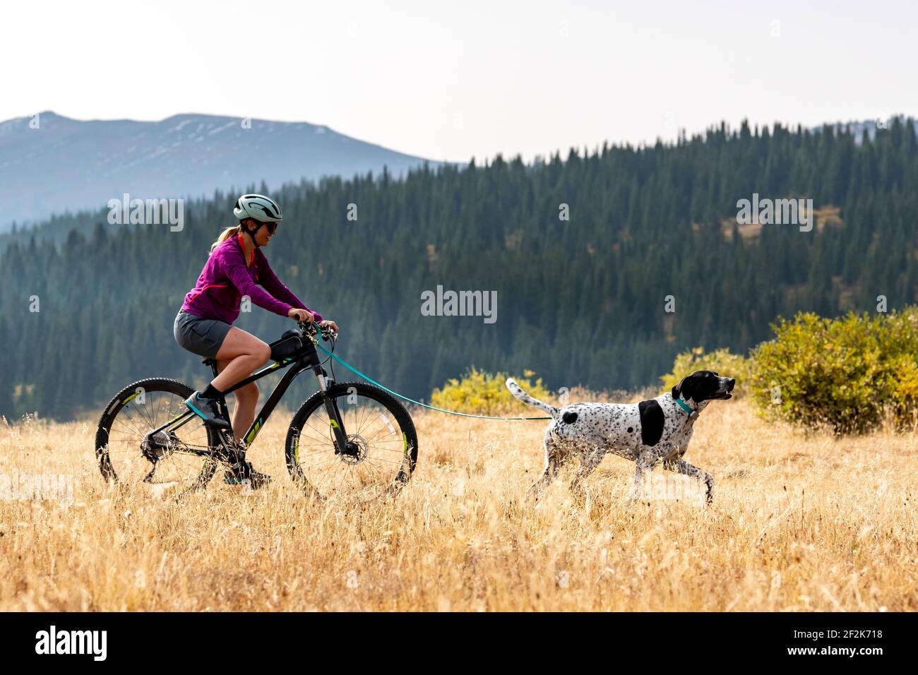 Vista laterale di una donna sorridente in bicicletta dietro il cane sul campo durante le vacanze Foto Stock