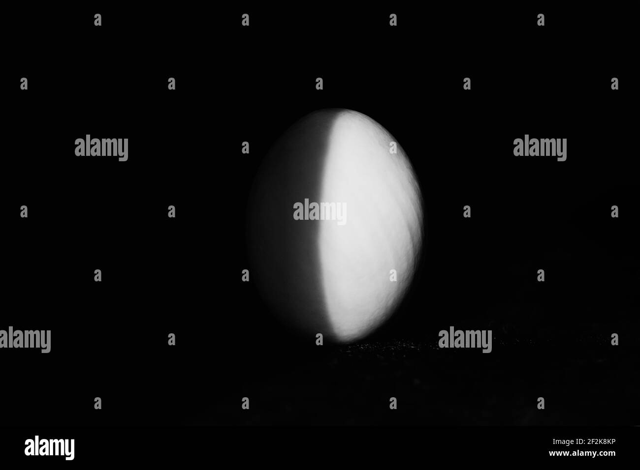 Uovo d'anatra bianco in ombra su sfondo nero Foto Stock