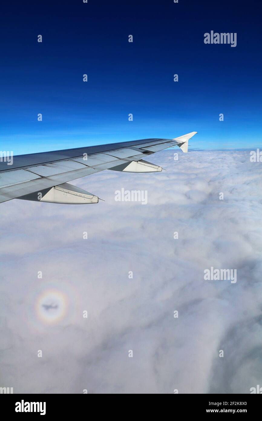 Glory Rainbow ombra di un aereo sopra le nuvole. Foto Stock