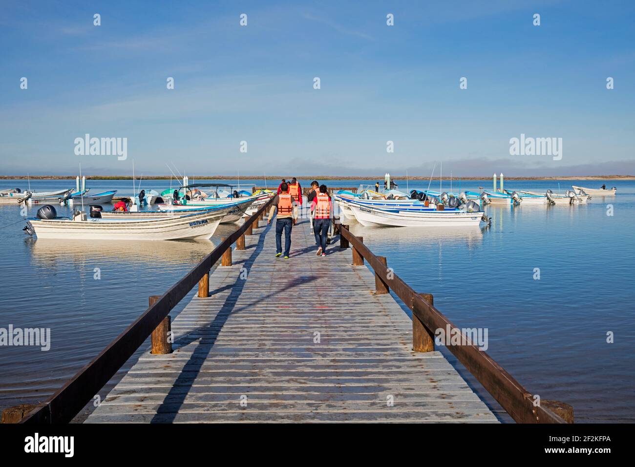 Turisti in molo a piedi per le barche turistiche per avvistare le balene grigie a Puerto Adolfo López Mateos, Comondú sulla penisola di Baja California sur, Messico Foto Stock