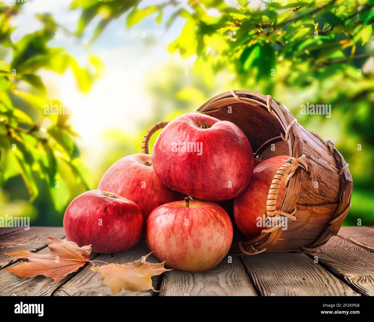 Mele fresche in un cestino su una tavola di legno, un raccolto di verdure Foto Stock