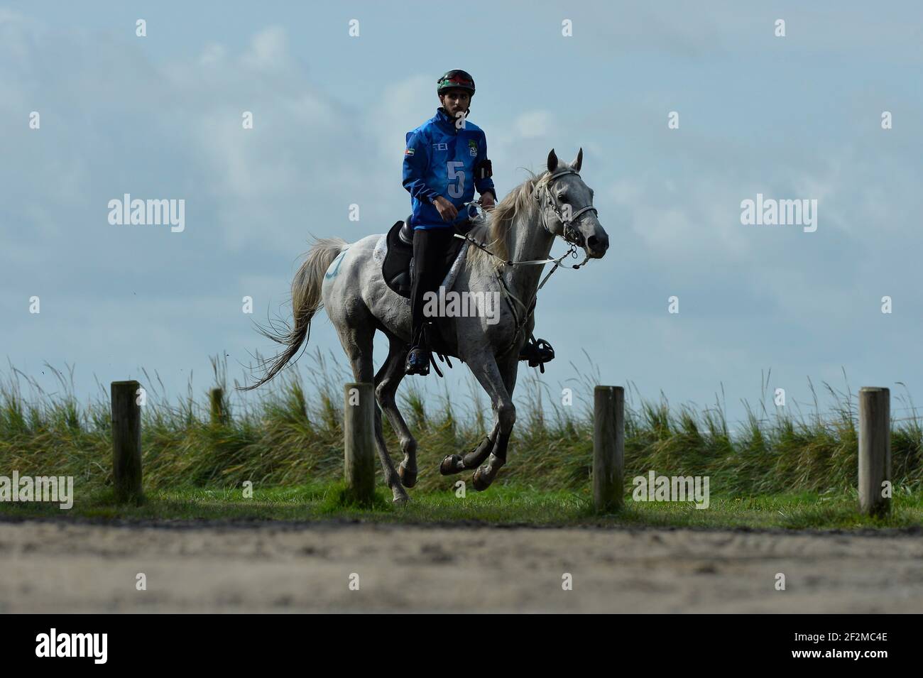 Team Emirates : Abdulla Ghanim al Marri cavalcando sul quram el ulm durante la gara endurance dei World Equestrian Games di Alltech FEI? 2014 a Sartilly, Normandia - 28 agosto 2014 - Foto Christophe Bricot Foto Stock