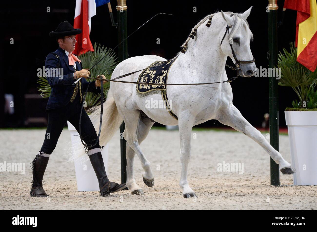 La Scuola reale Andalusa di Arte Equestre presso l'Accor Hotels Arena di Bercy, l'8 ottobre 2016, a Parigi, Francia - Foto Christophe Bricot / DPPI Foto Stock