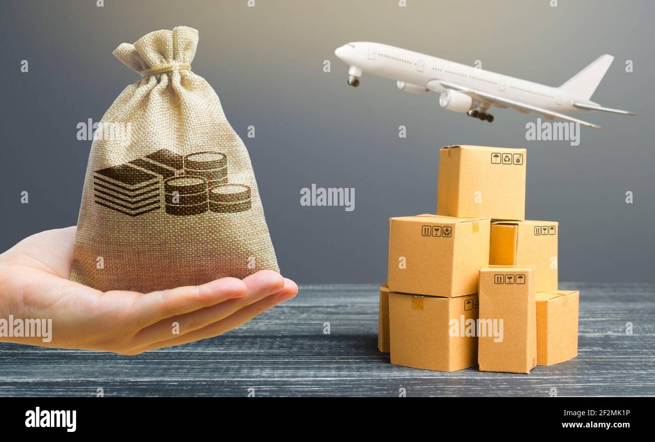 Borsa di denaro, scatole di cartone e aereo da trasporto. Distribuzione internazionale di merci e prodotti. Logistica, infrastrutture hub. Importazione, ad es Foto Stock