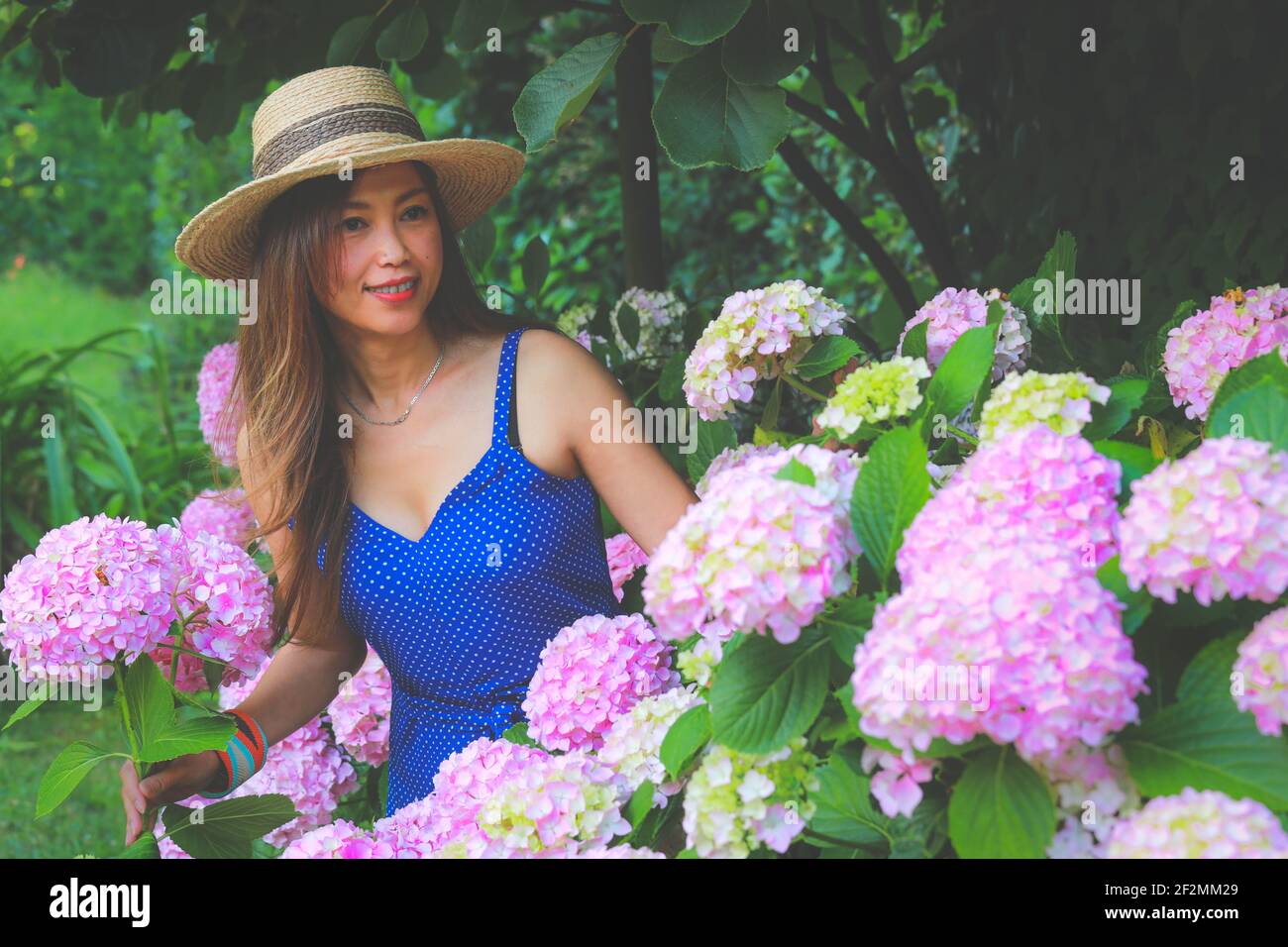 Donna asiatica che indossa cappello di paglia con fiori rosa idrangea in giardino Foto Stock