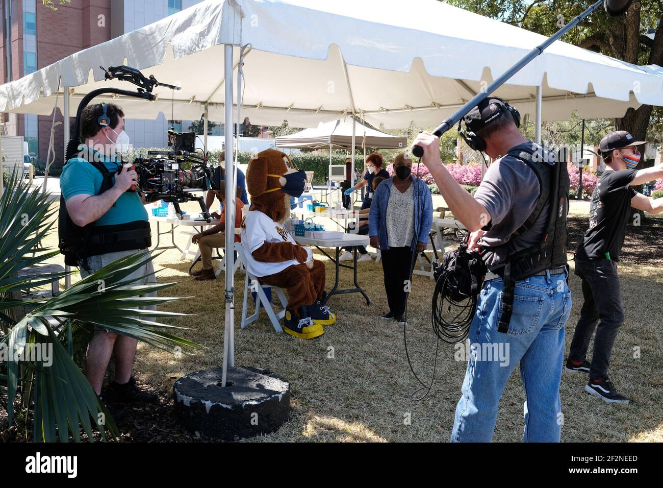 Riprese della mascotte River Dog di Charleston, squadra di baseball SC nel campus dell'università medica, MUSC Foto Stock