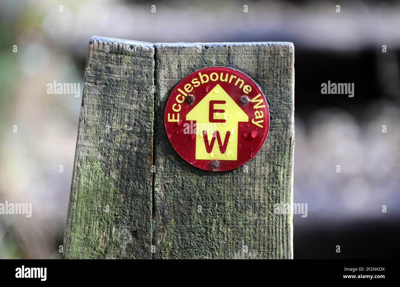 Ecclesbourne Way, punto di riferimento per la strada pedonale nel Derbyshire Foto Stock