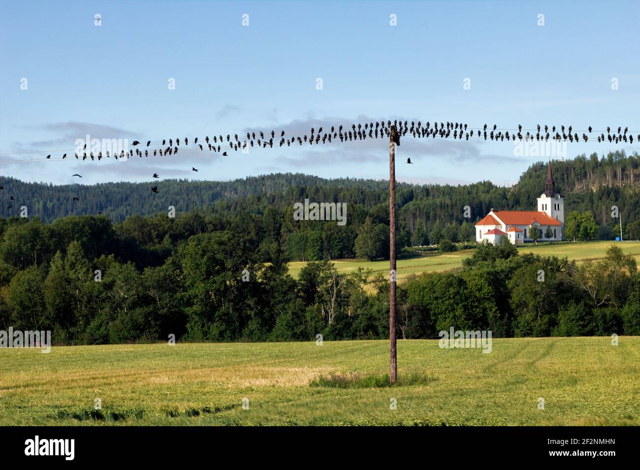 Escursione in Svezia lungo il sentiero Höga Kustenleden Foto Stock