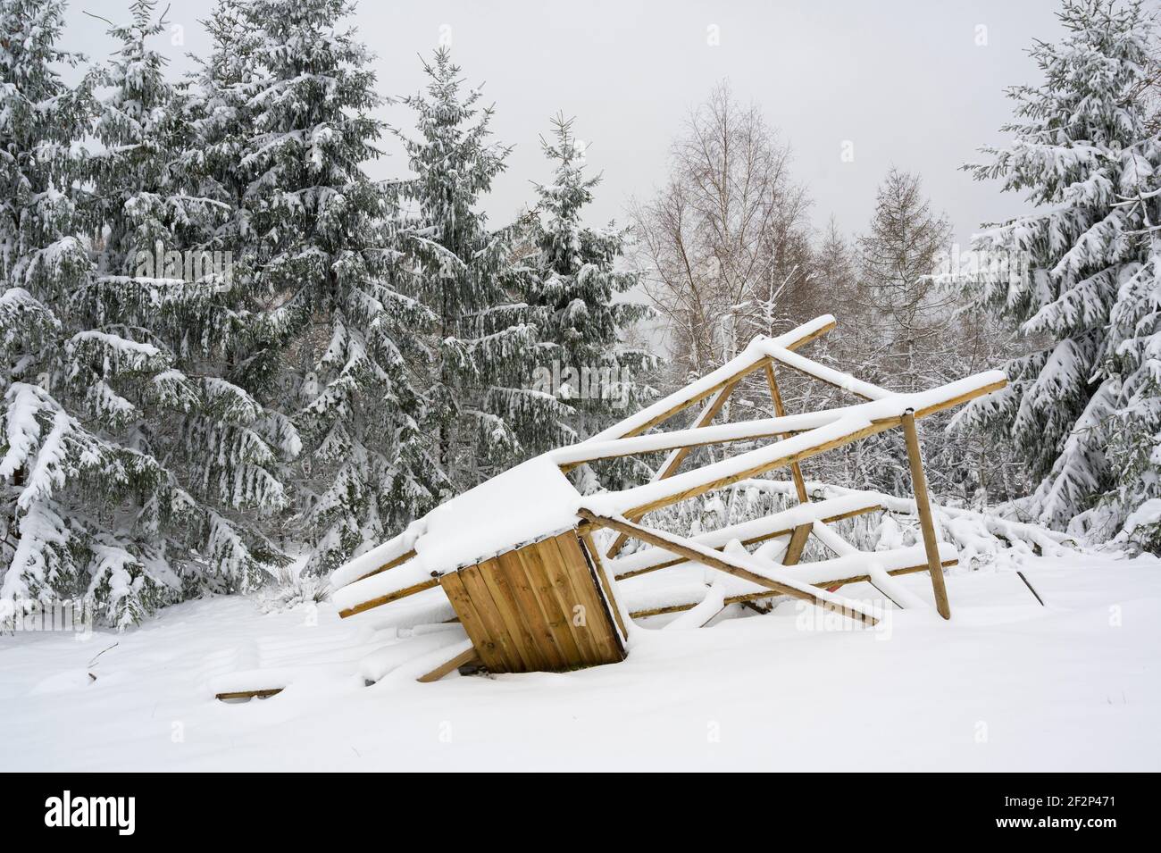 Sedile alto in inverno che è stato abbattuto da una tempesta, Spessart, Baviera, Germania Foto Stock