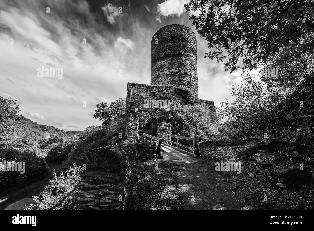 Burgruine Stahlberg bei Bacharach-Steeg, sie wurde als Gegenburg zur Burg Stahleck vom Erzbistum Köln errichtet, eine typische Spornburg mit Halsbaben und Zugbrücke, Foto Stock