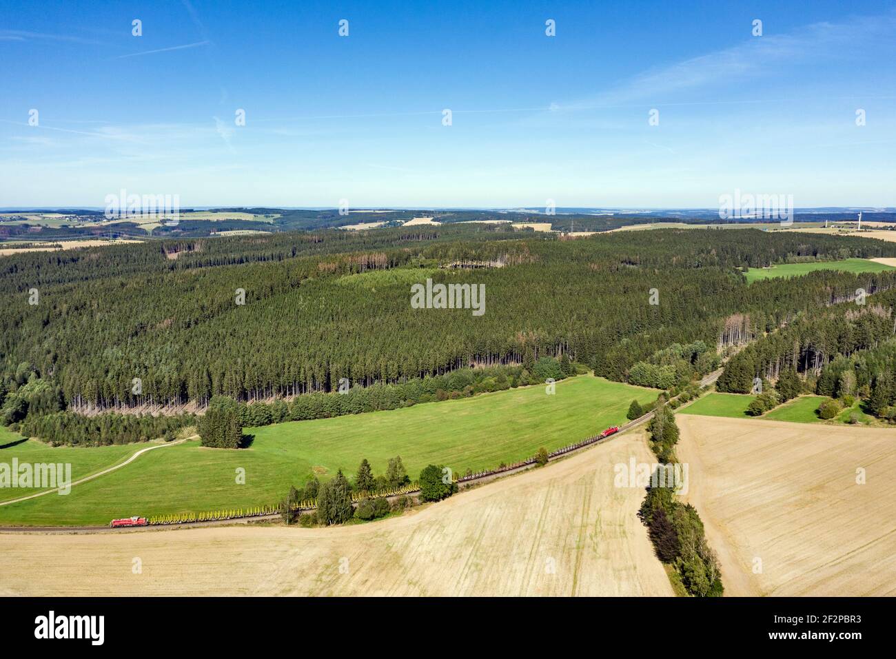 Treno merci, campi, foresta, ramo, paesaggio Foto Stock