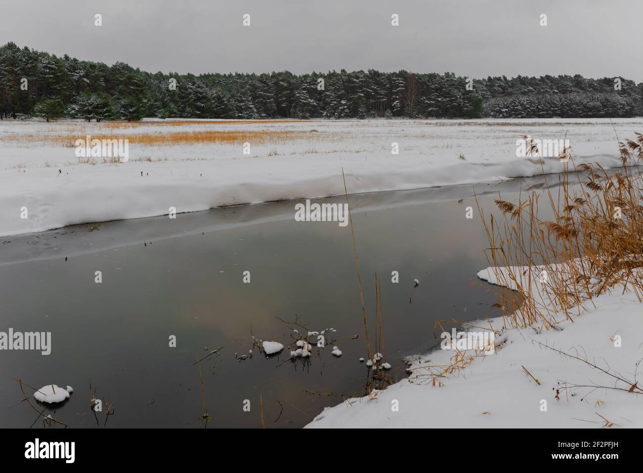 Piccolo fiume in inverno in Germania, neve sulla riva del fiume, il fiume Hammerfließ poco prima di Gottow Foto Stock