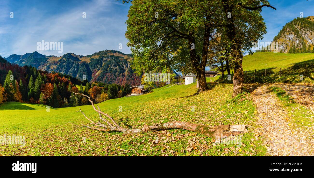 Gerstruben, ex villaggio di montagna nel Dietersbachtal vicino Oberstdorf, Allgäu Alpi, Allgäu, Baviera, Germania, Europa Foto Stock