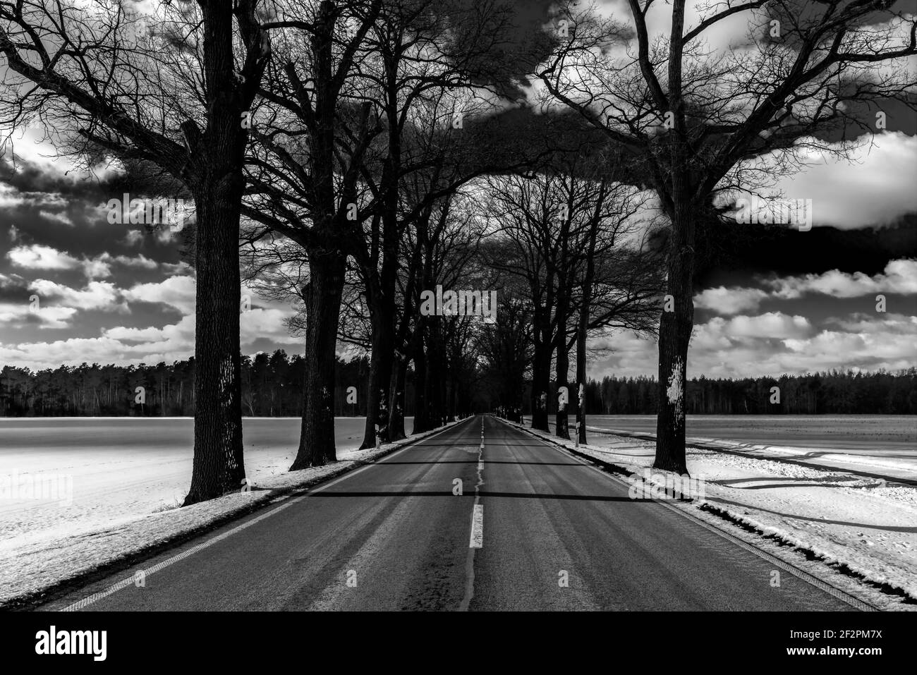 Strada statale numero L73 in inverno in Germania, tra il villaggio di Jaenickendorf e il piccolo villaggio di Holbeck, pericolo di scorrevolezza a causa della neve per gli autoveicoli Foto Stock