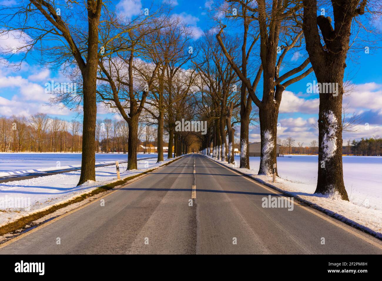 Strada statale numero L73 in inverno in Germania, tra il villaggio di Jaenickendorf e il piccolo villaggio di Holbeck, pericolo di scorrevolezza a causa della neve per gli autoveicoli Foto Stock