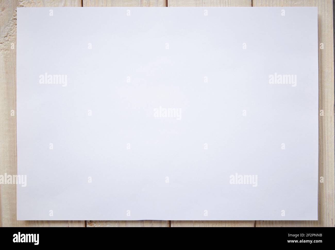 Carta bianca mockup bianco per disegno o layout su uno sfondo di legno chiaro.Vista dall'alto piatto Lay sfondo bianco. Foto Stock
